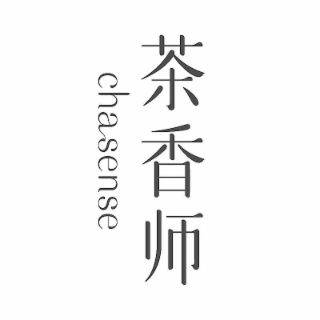 CHASENSE logo
