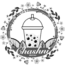 CHASHNI SINCE 2023 logo