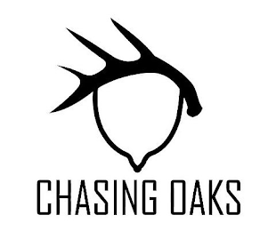 CHASING OAKS logo