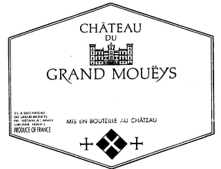 CHATEAU DU GRAND MOUEYS logo