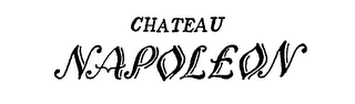 CHATEAU NAPOLEON logo