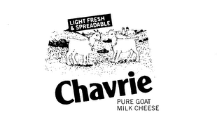CHAVRIE LIGHT FRESH & SPREADABLE PURE GOAT MILK CHEESE logo