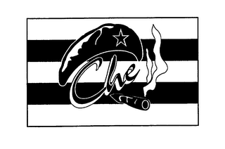 CHE logo
