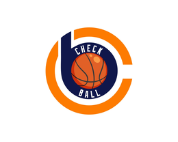 CHECK BALL logo