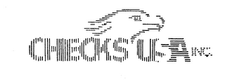 CHECKS USA