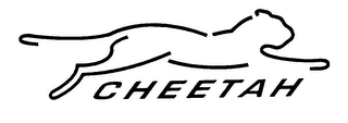 CHEETAH logo