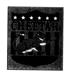 CHEETAH logo