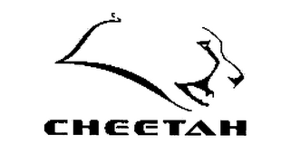 CHEETAH logo