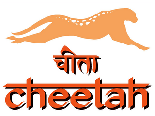 CHEETAH logo