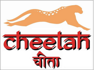 CHEETAH logo