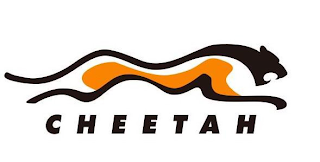 CHEETAH logo