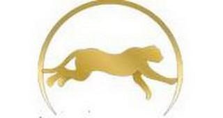 CHEETAH logo