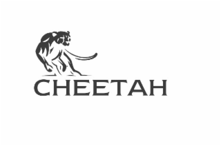 CHEETAH logo