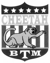 CHEETAH BTM logo