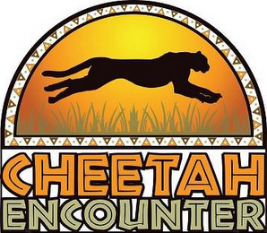 CHEETAH ENCOUNTER logo