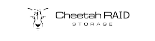 CHEETAH RAID STORAGE logo