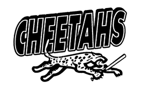 CHEETAHS logo