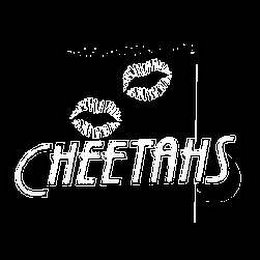 CHEETAHS logo