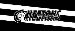 CHEETAHS GENTLEMENS CLUB logo