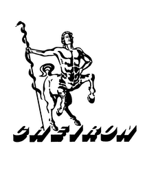 CHEIRON logo