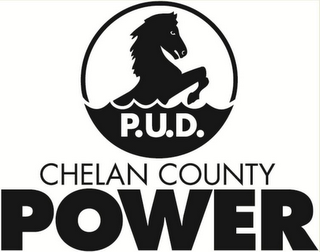 CHELAN COUNTY POWER P.U.D. logo