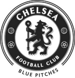 CHELSEA FOOTBALL CLUB BLUE PITCHES logo