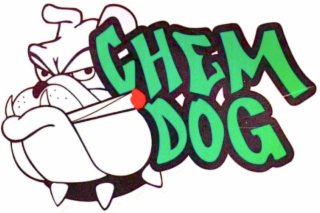 CHEM DOG logo