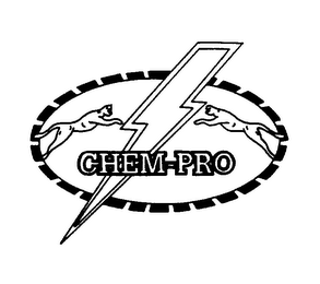 CHEM-PRO logo
