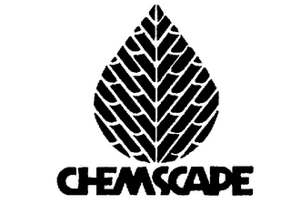 CHEMSCAPE logo