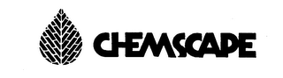 CHEMSCAPE logo