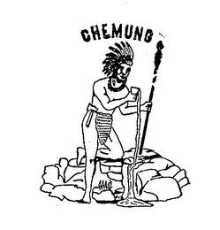 CHEMUNG logo