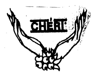 CHERI logo