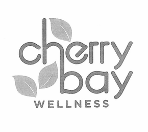CHERRY BAY WELLNESS logo