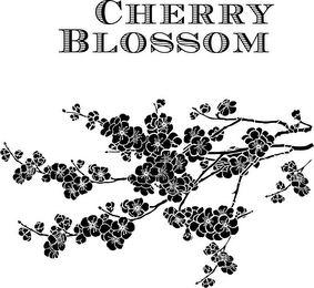 CHERRY BLOSSOM logo