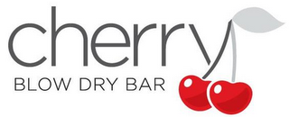 CHERRY BLOW DRY BAR logo