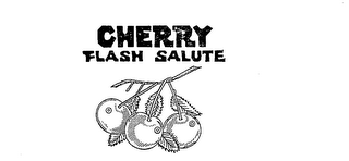 CHERRY FLASH SALUTE logo
