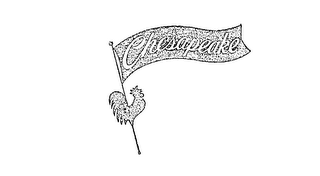 CHESAPEAKE logo