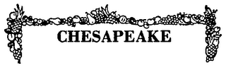 CHESAPEAKE logo