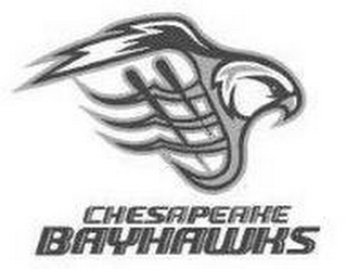 CHESAPEAKE BAYHAWKS logo