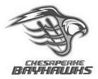 CHESAPEAKE BAYHAWKS logo