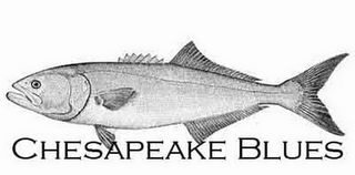CHESAPEAKE BLUES logo