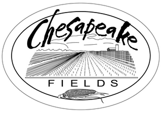 CHESAPEAKE FIELDS logo