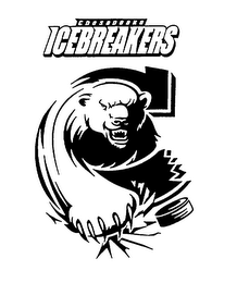 CHESAPEAKE ICEBREAKERS logo