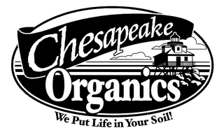 CHESAPEAKE ORGANICS WE PUT LIFE IN YOUR SOIL! logo