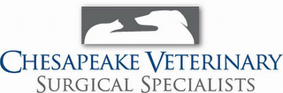 CHESAPEAKE VETERINARY SURGICAL SPECIALISTS logo