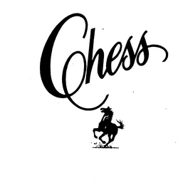 CHESS logo