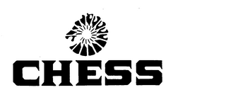 CHESS logo