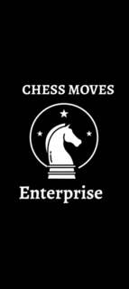 CHESS MOVES ENTERPRISE logo