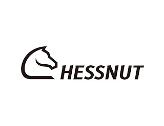 CHESSNUT logo