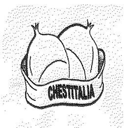 CHESTITALIA logo